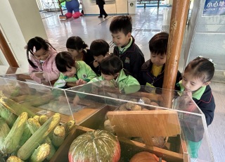 衛生教育展覽及資料中心