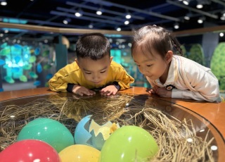 兒童探知館