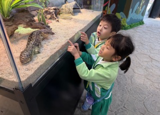 屯門公園爬蟲館
