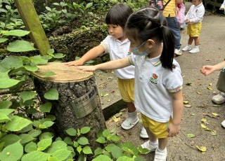 2023-2024年度 K1 - 嘉道理農場暨植物園參觀活動