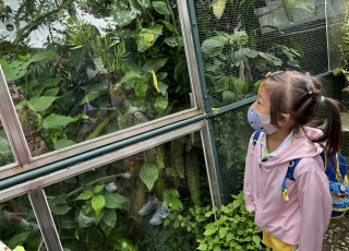 嘉道理農場暨植物園參觀活動