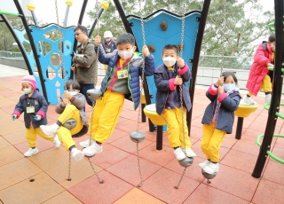 山頂觀光之旅