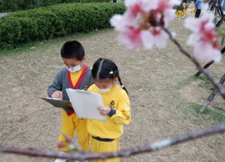 2022-2023年度 K3-賞櫻寫生活動
