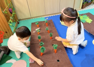 模擬活動 - 田舍